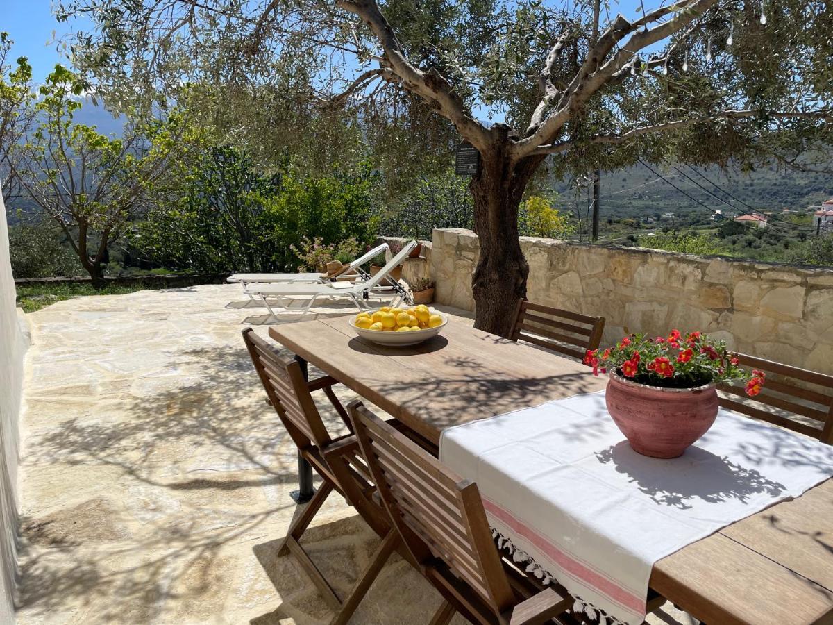Petra & Elia Villa Megala Chorafia Bagian luar foto