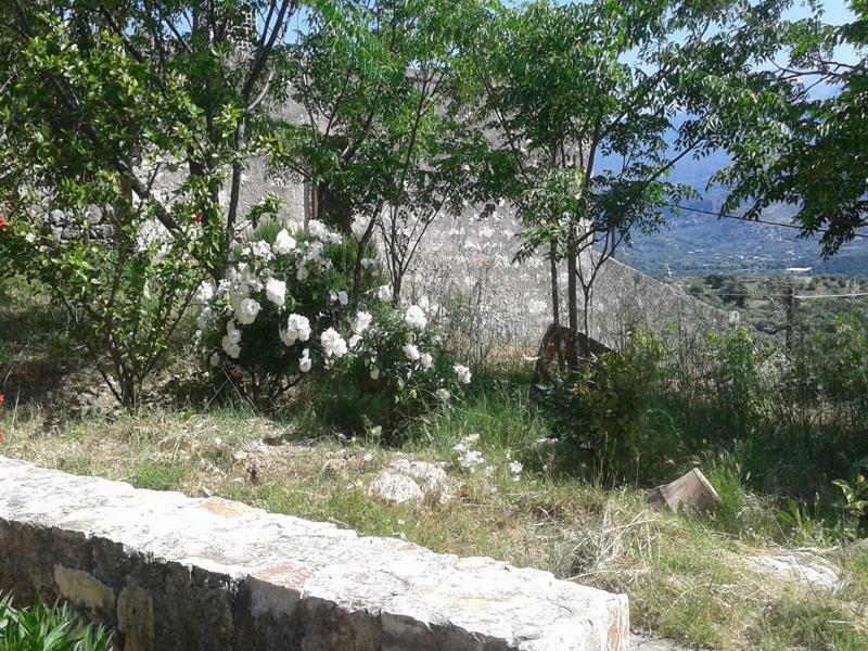 Petra & Elia Villa Megala Chorafia Bagian luar foto