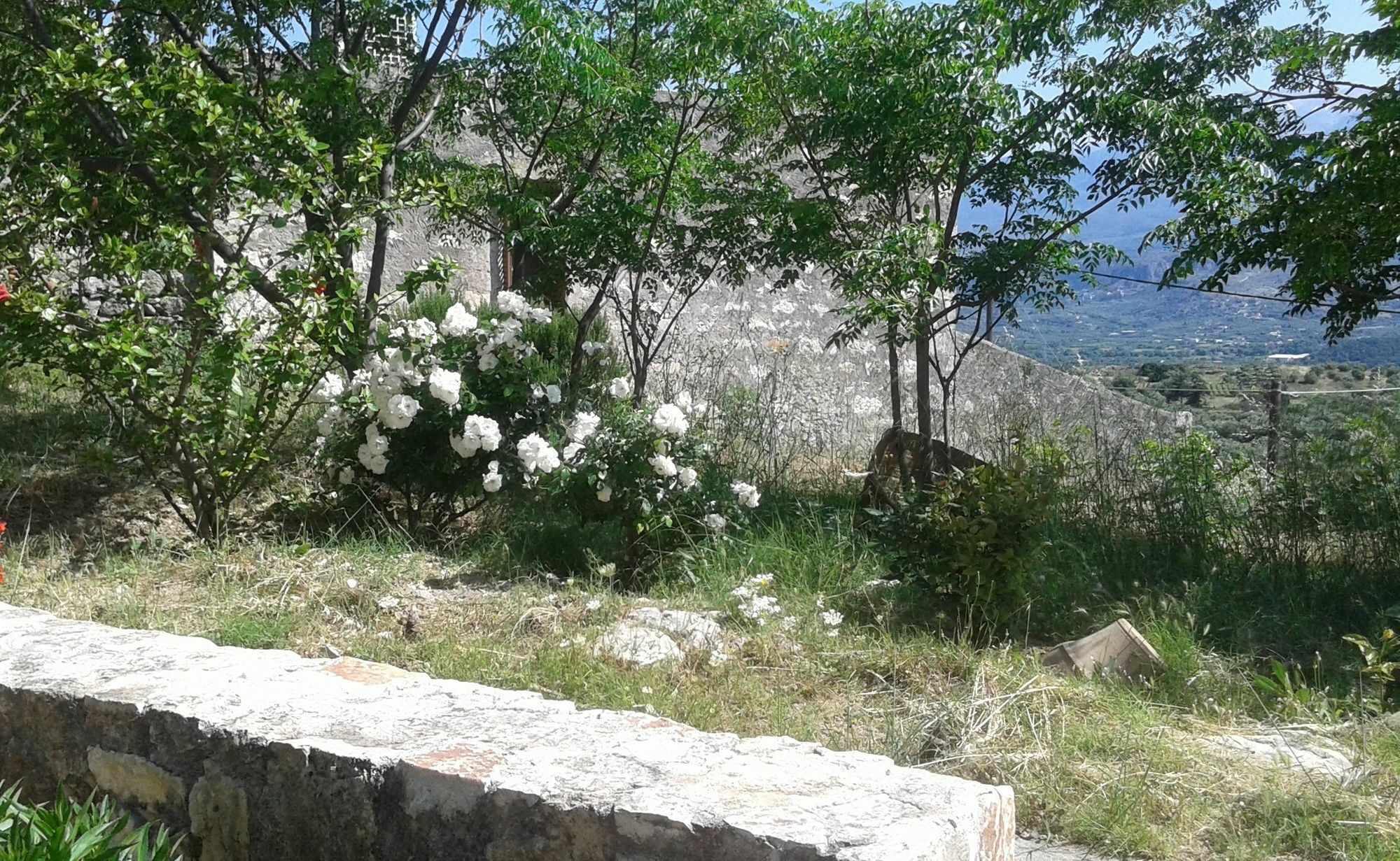 Petra & Elia Villa Megala Chorafia Bagian luar foto