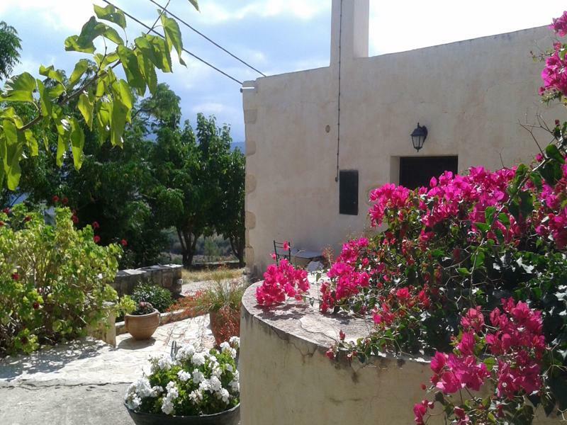 Petra & Elia Villa Megala Chorafia Bagian luar foto