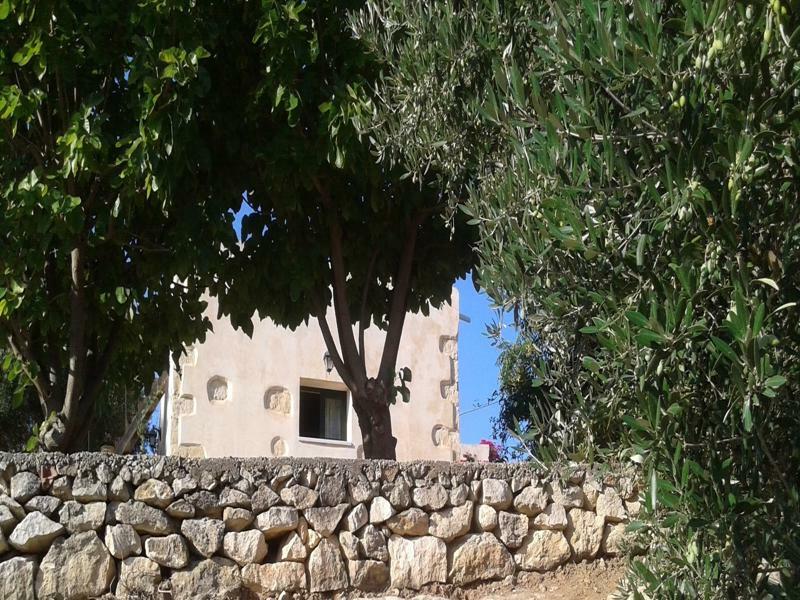 Petra & Elia Villa Megala Chorafia Bagian luar foto